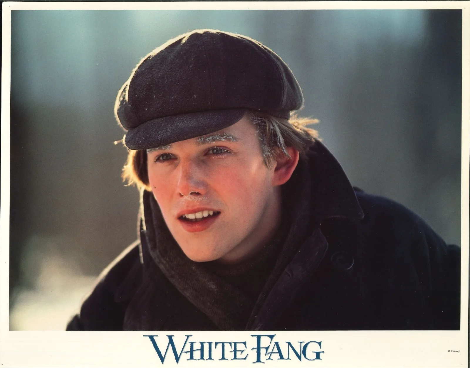 White Fang 6x ORIGINAL US Lobby Cards Ethan Hawke Disney 1991, image 2