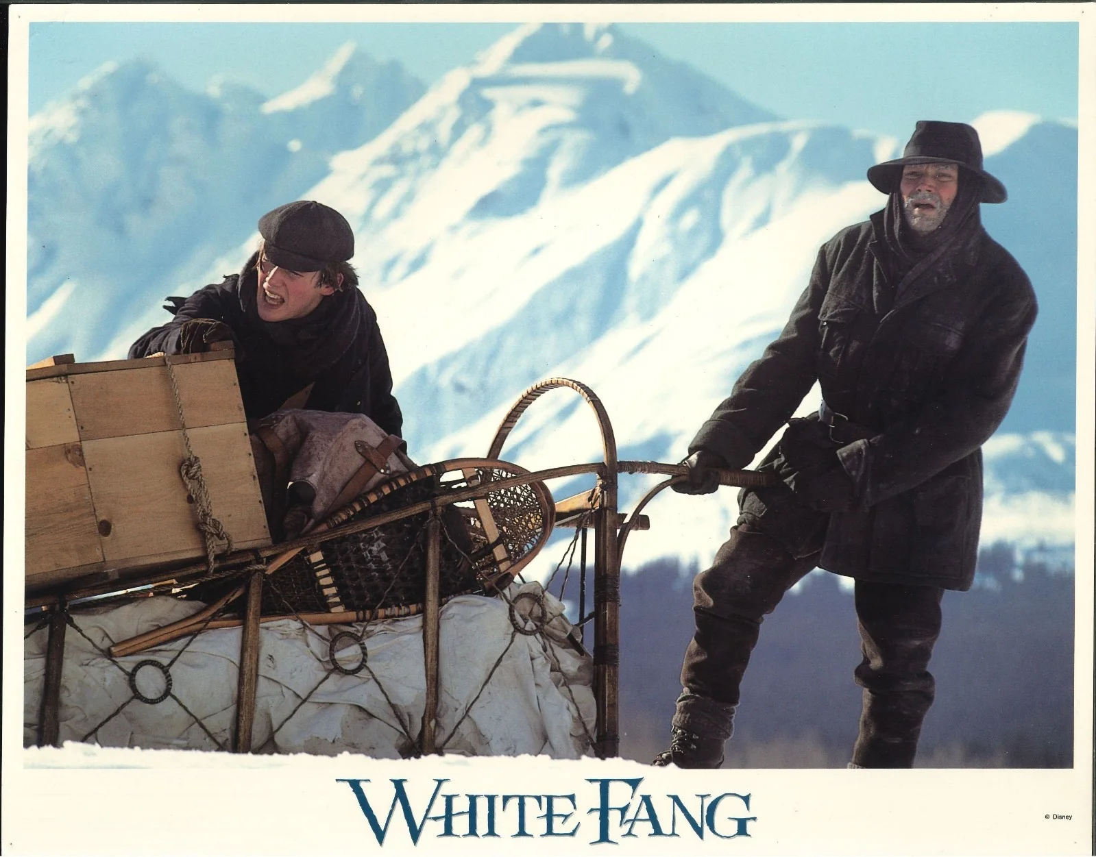 White Fang 6x ORIGINAL US Lobby Cards Ethan Hawke Disney 1991, image 3