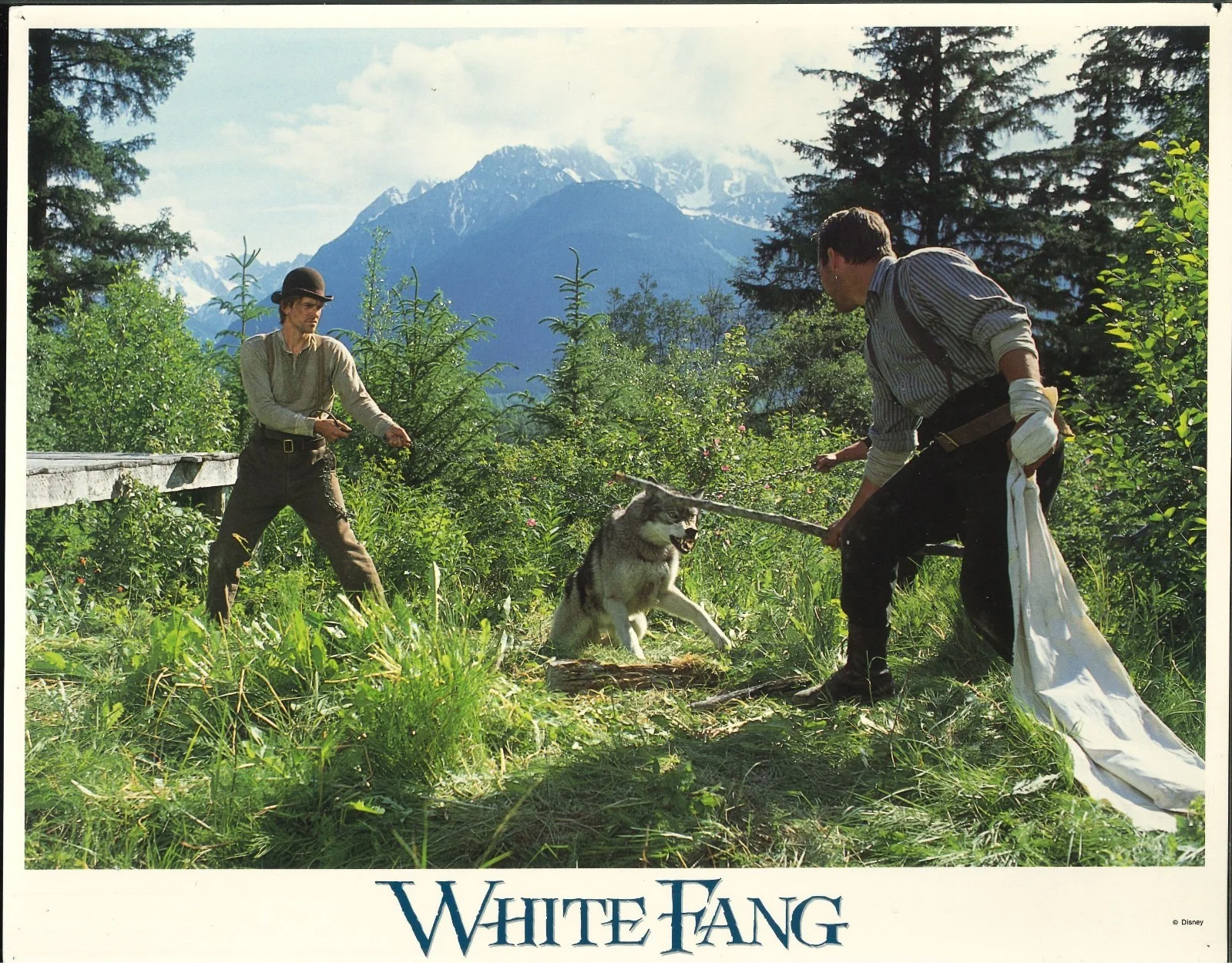 White Fang 6x ORIGINAL US Lobby Cards Ethan Hawke Disney 1991, image 4