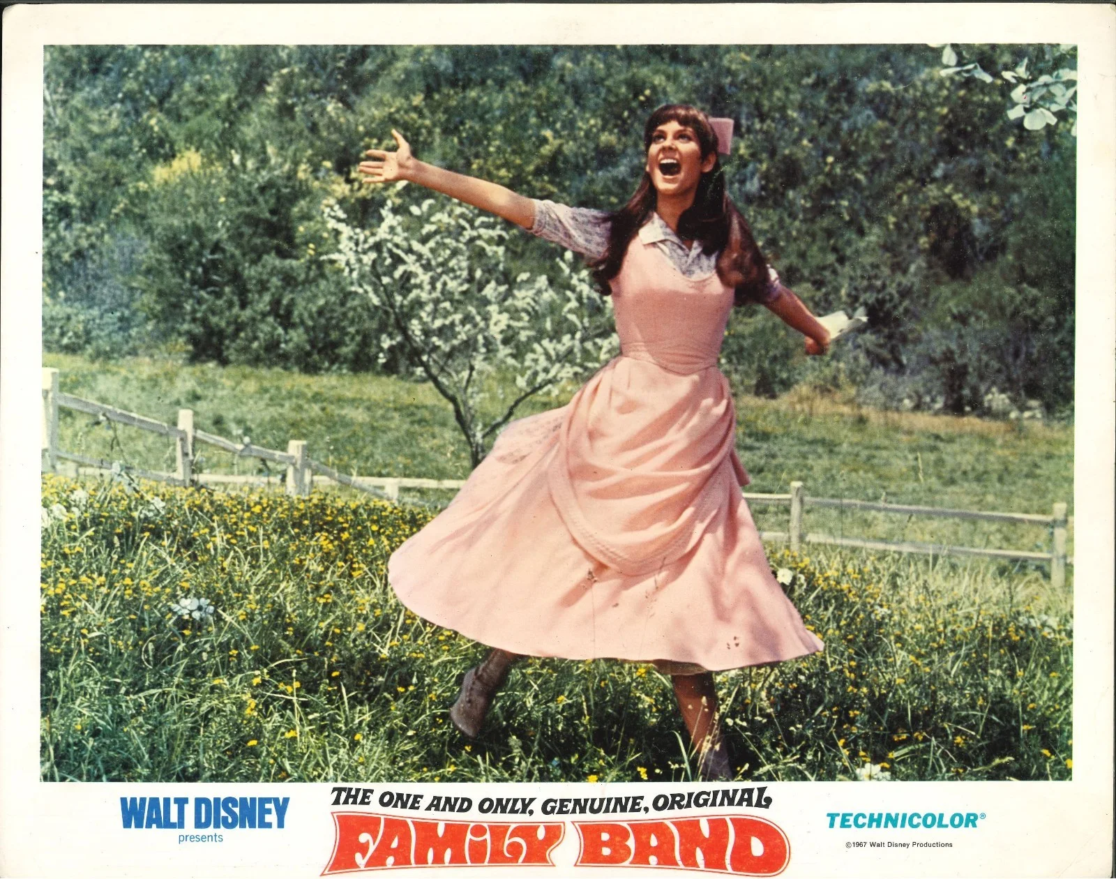 One and Only, Genuine, Original Family Band 9x ORIGINAL US Lobby Cards Disney 68, изображение 5