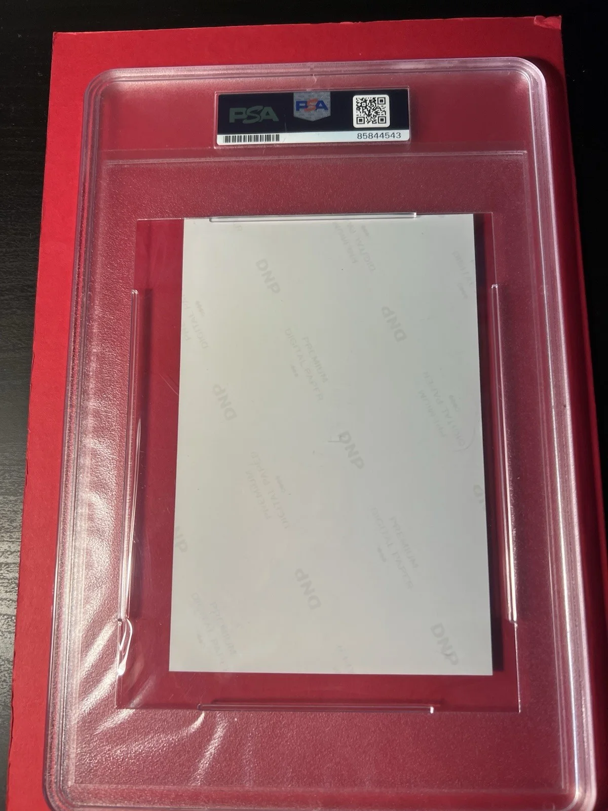 Britney Griner Signed Russian Prison Photo PSA/DNA Encapsulation VERY RARE, image 2