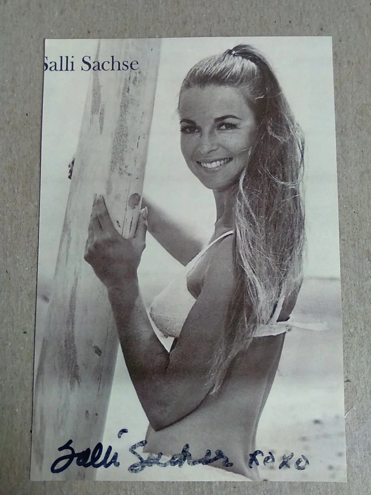Salli Sachse American Actress And Model Autographed 6x4 Photo Signed, image 2