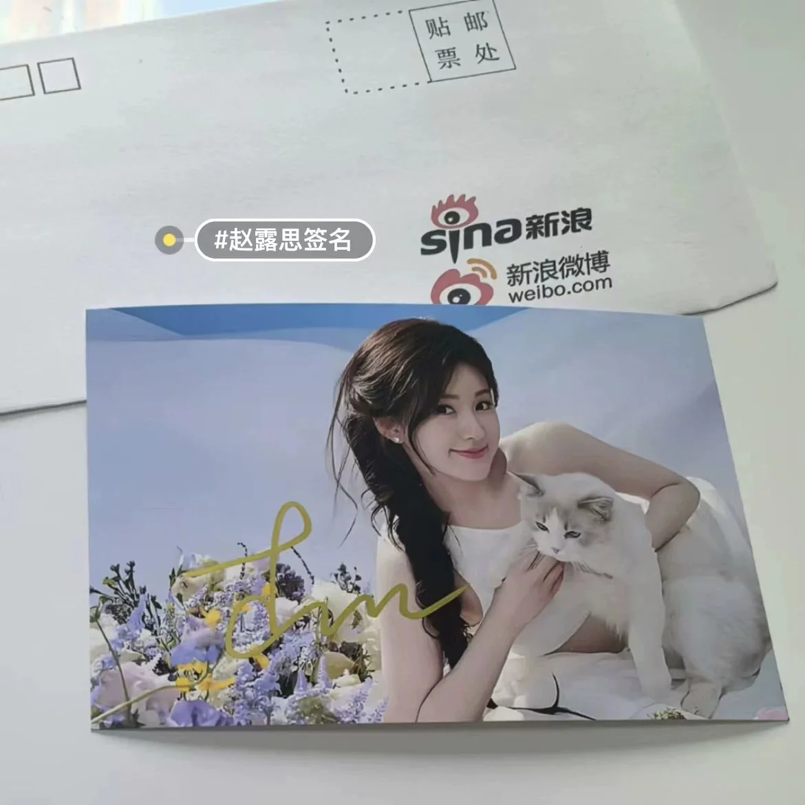 Zhao Lusi Autographed Photos Of The Music Festival 6’ Chinese Star Surroundings, изображение 4