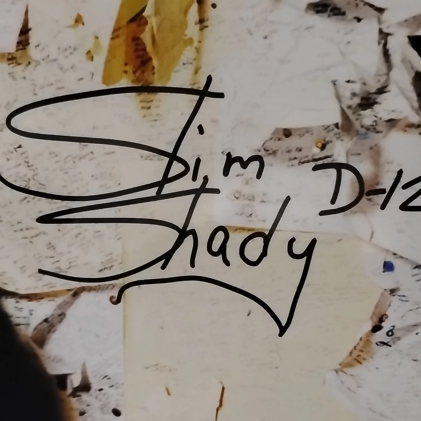 Slim Shady D12 Autographed Original Photo 8.5x11 w/ Certificate & Holographic ID, изображение 2