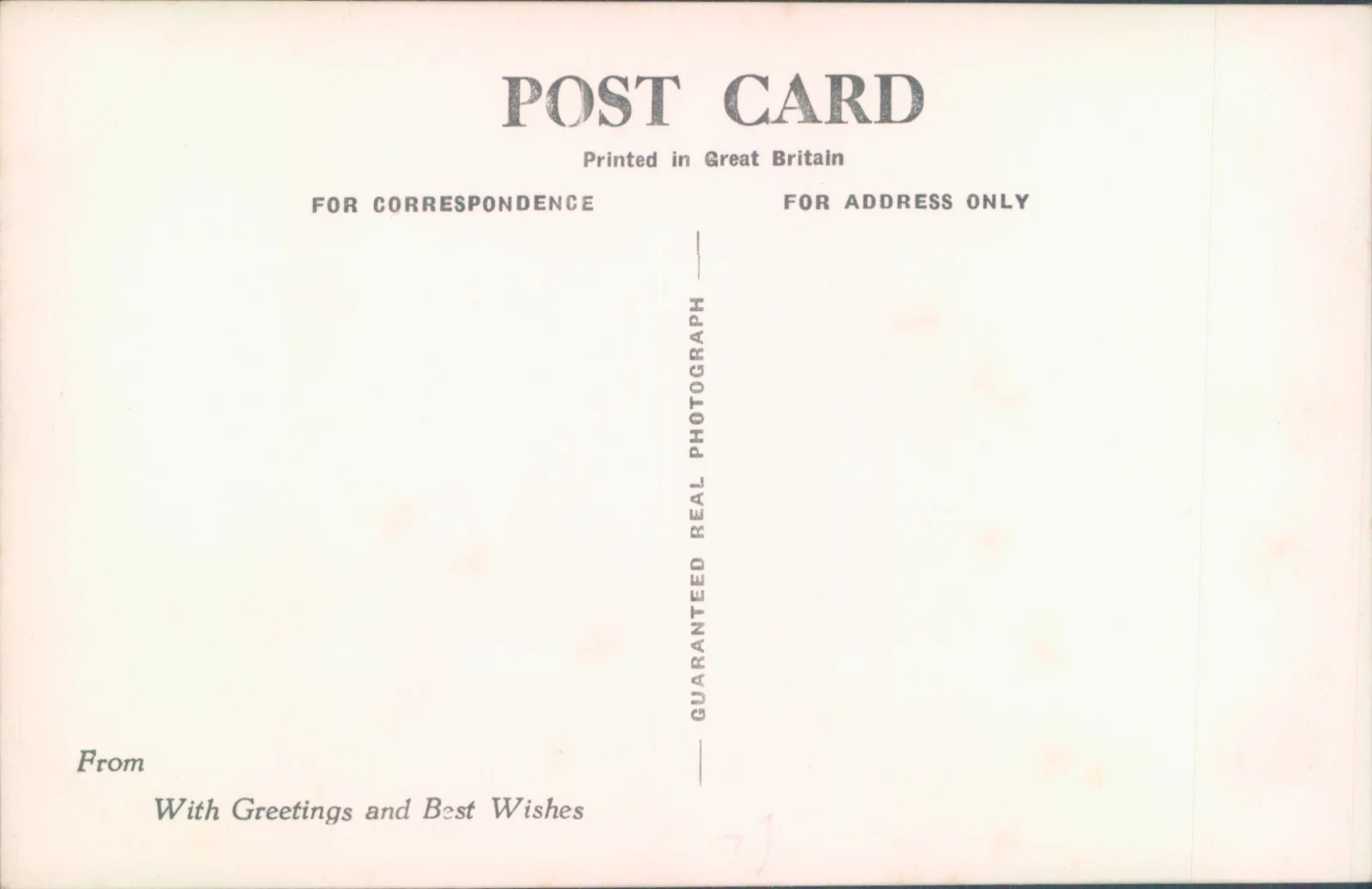 Postcard Actress June Allison Real Photo unposted, изображение 2