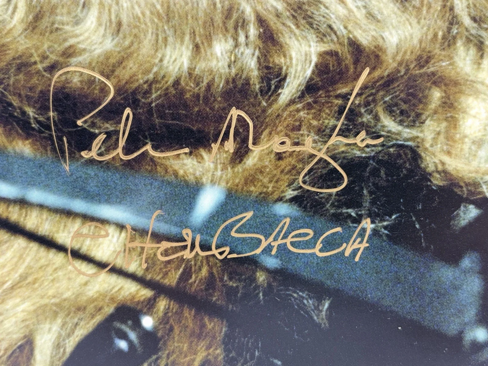 Peter Mayhew — PETER MAYHEW HAND SIGNED AUTOGRAPHED CHEWBACCA 8x10 Photo, image 2