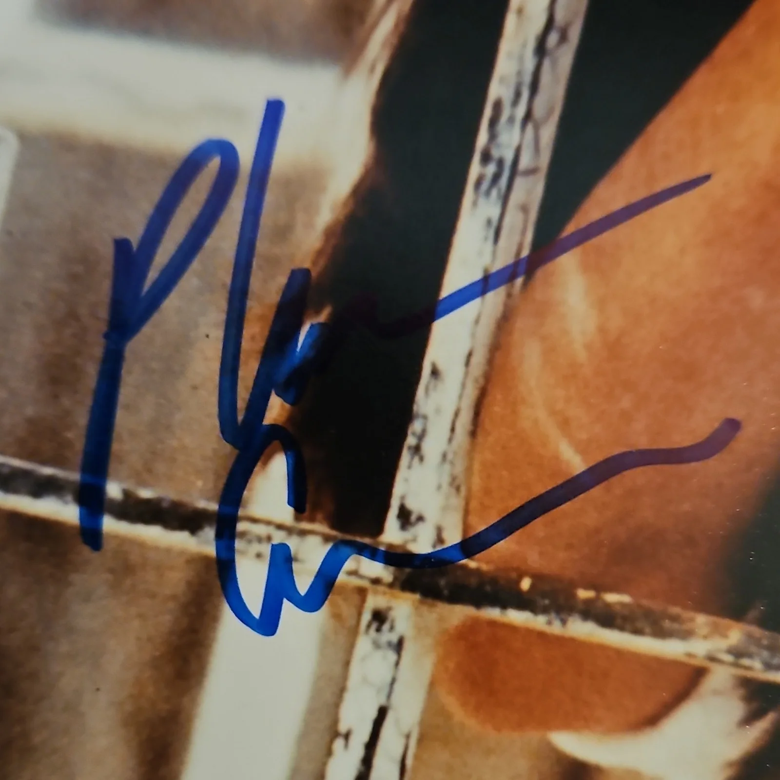 Phoebe Cates autographed photo., image 2