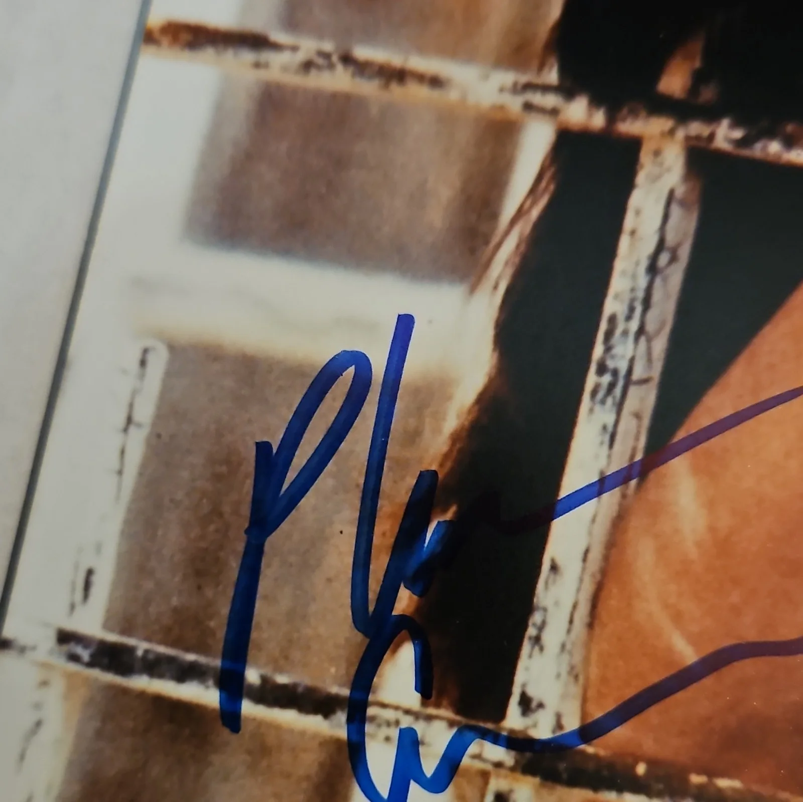 Phoebe Cates autographed photo., image 3