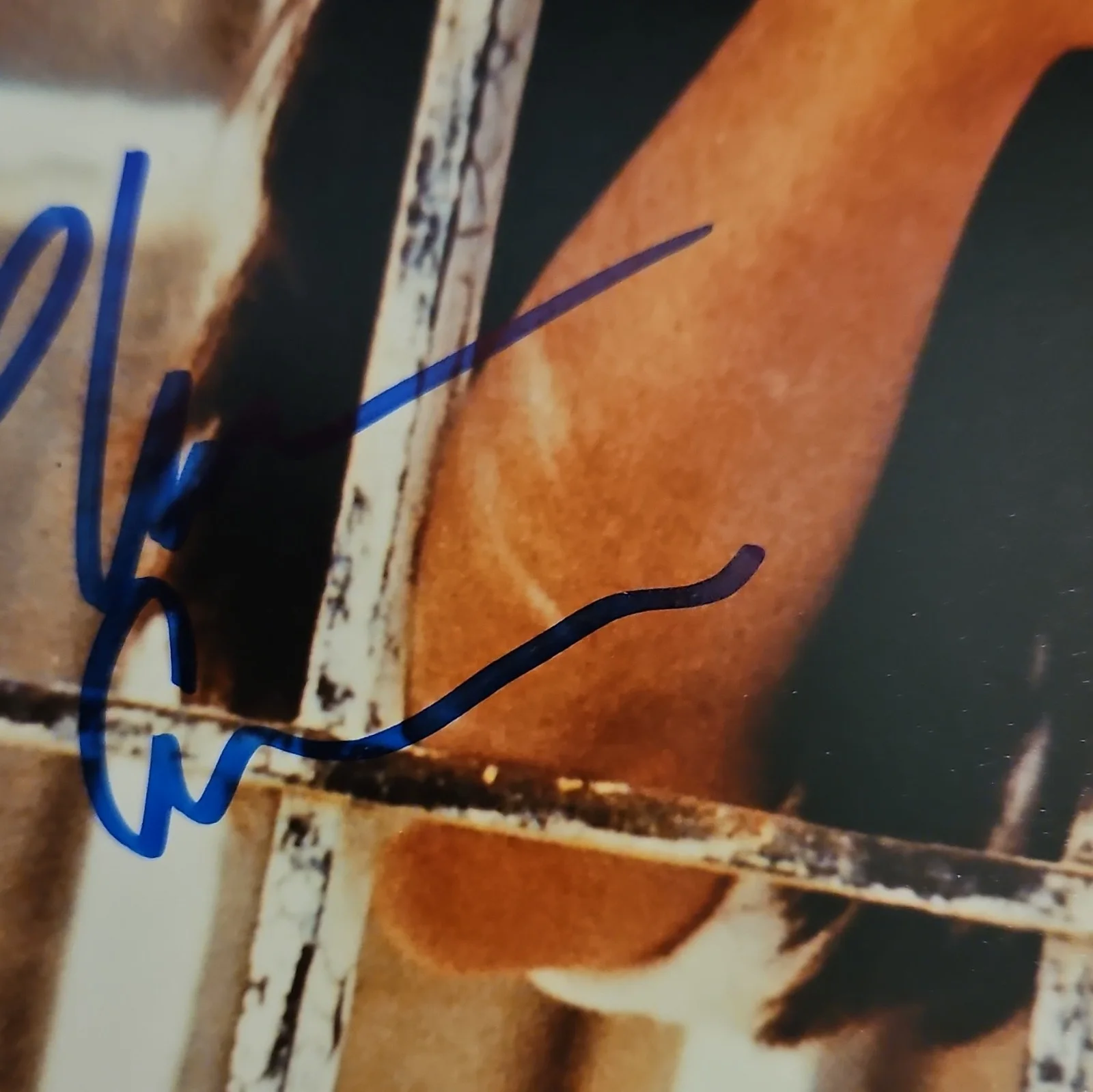 Phoebe Cates autographed photo., image 4