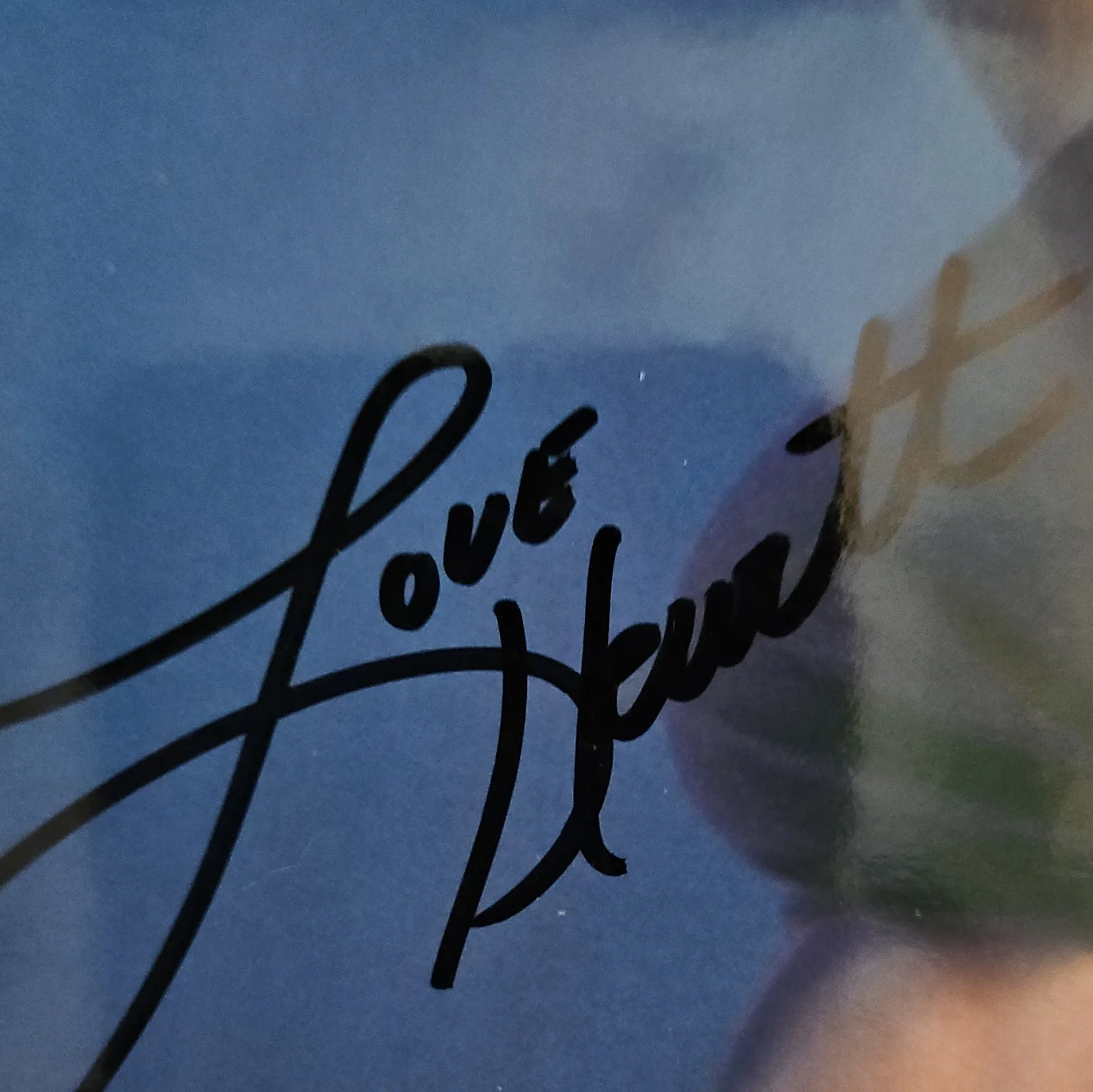 Jennifer Love Hewitt Autographed Photo 8x10, image 3