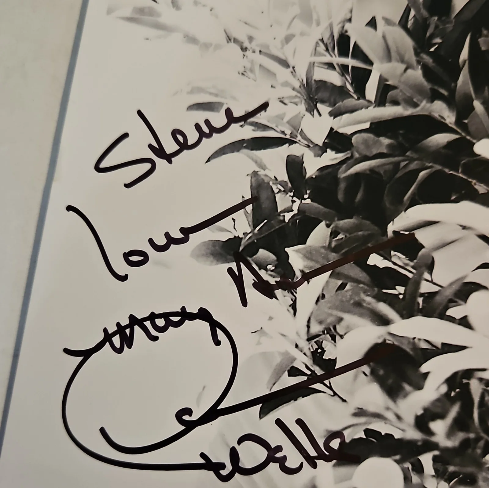 Autographed Original Movie Photograph 8x10 Black & White Signed Photo, изображение 2