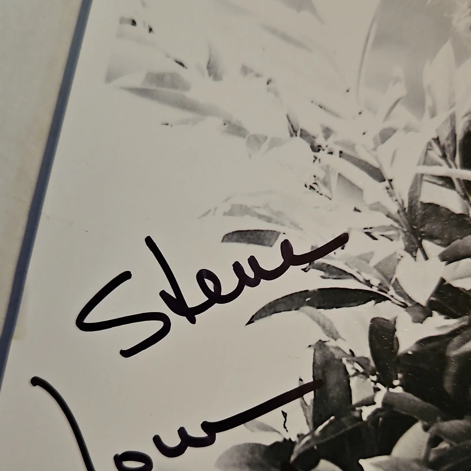 Autographed Original Movie Photograph 8x10 Black & White Signed Photo, изображение 4
