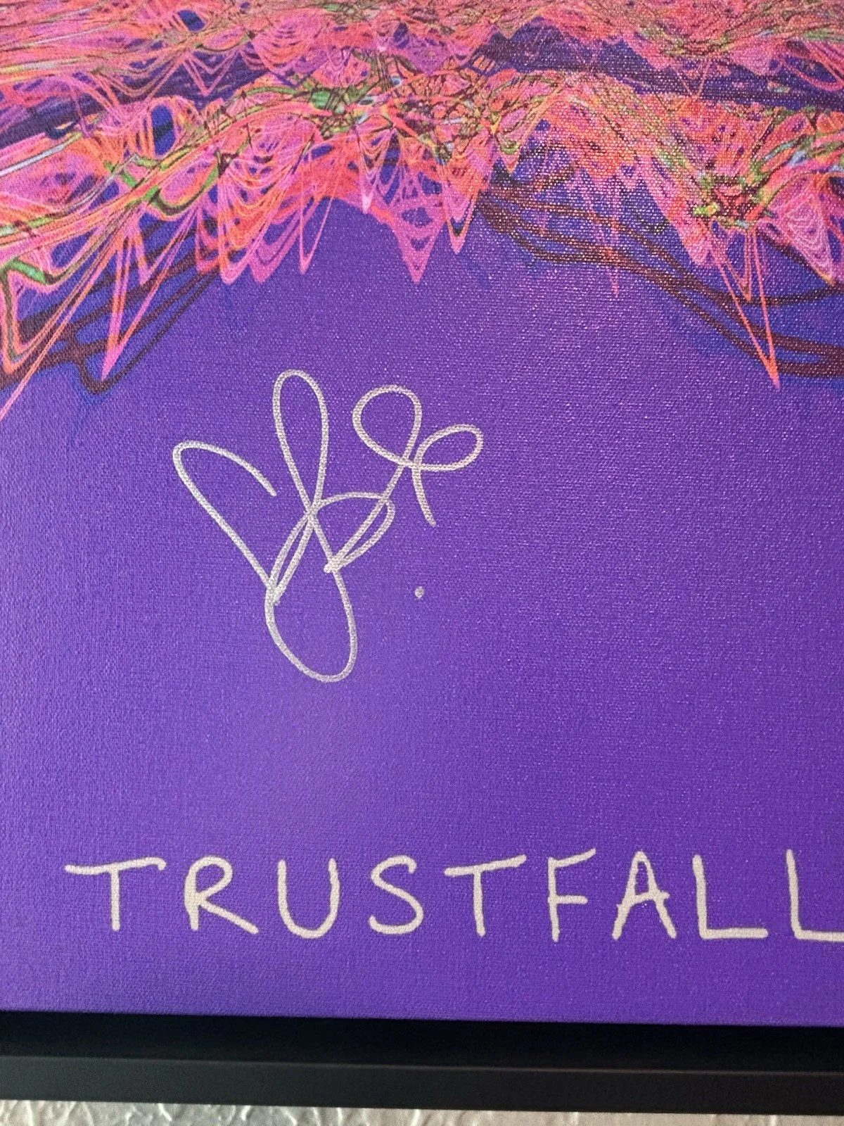 Rare 24”x24” Soundwaves HAND SIGNED By P!nk 14/30 Alecia Moore COA Trustfall, image 2