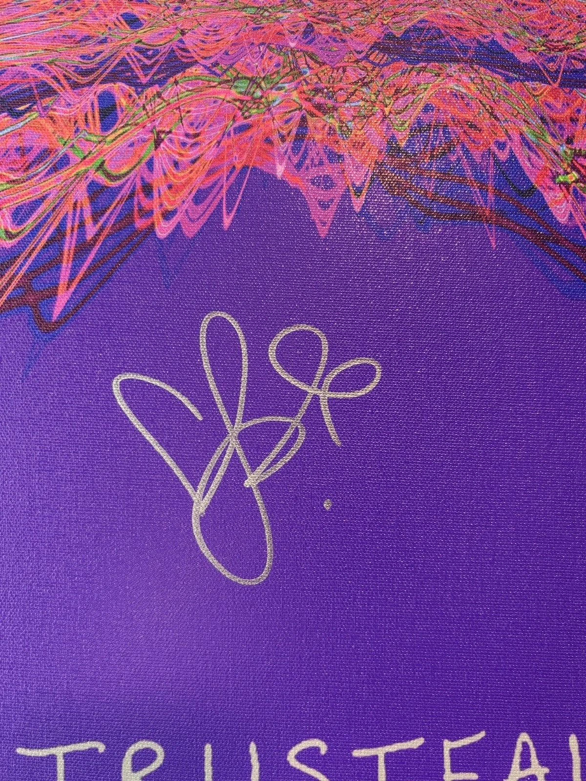 Rare 24”x24” Soundwaves HAND SIGNED By P!nk 14/30 Alecia Moore COA Trustfall, image 3