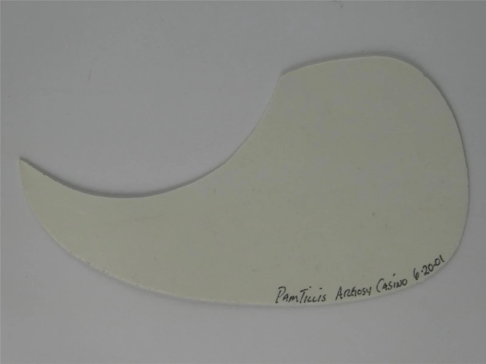 Pam Tillis Signed White Guitar Pickguard Autographed, image 3