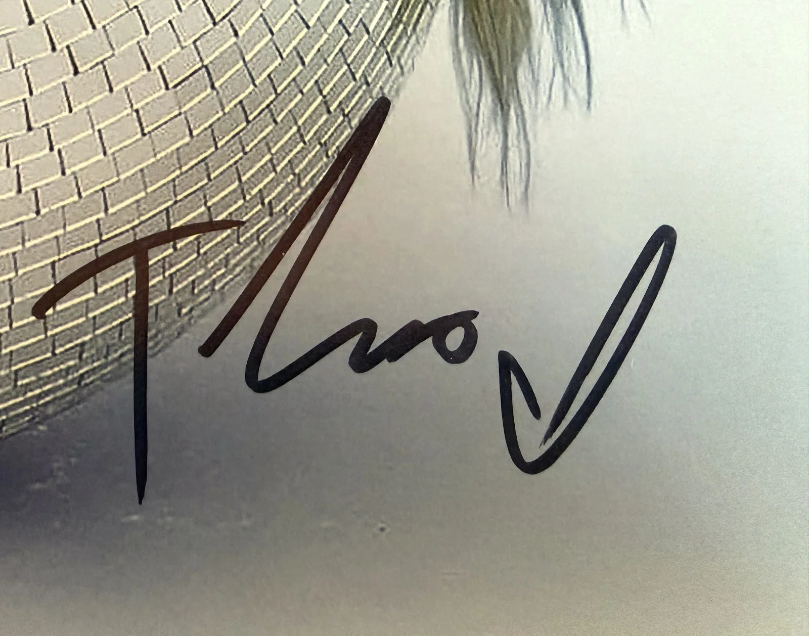 Tove Lo Pop R&B Stay High signed 8x10 photo read description, изображение 2