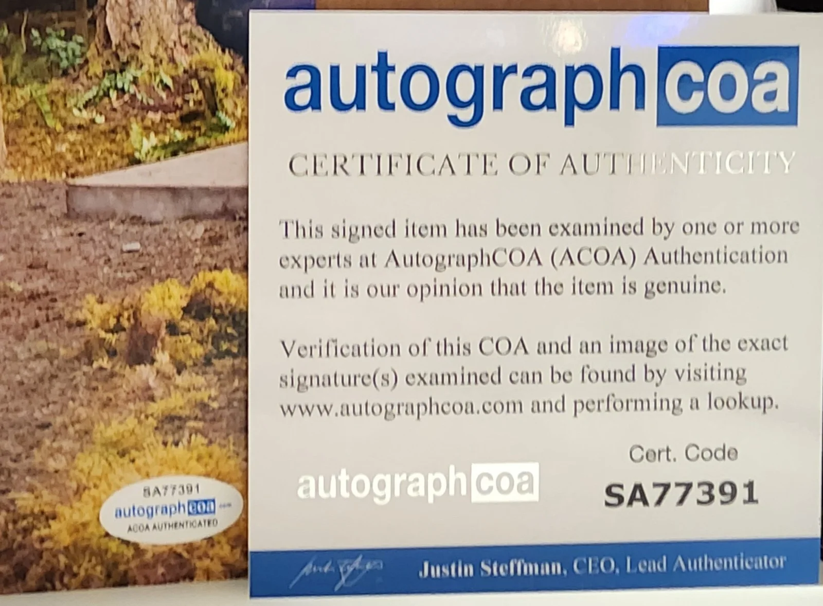 KELLAN LUTZ — KELLAN LUTZ SIGNED AUTOGRAPH TWILIGHT EMMETT CULLEN 8x10 PHOTO AUTOGRAPH COA, изображение 3