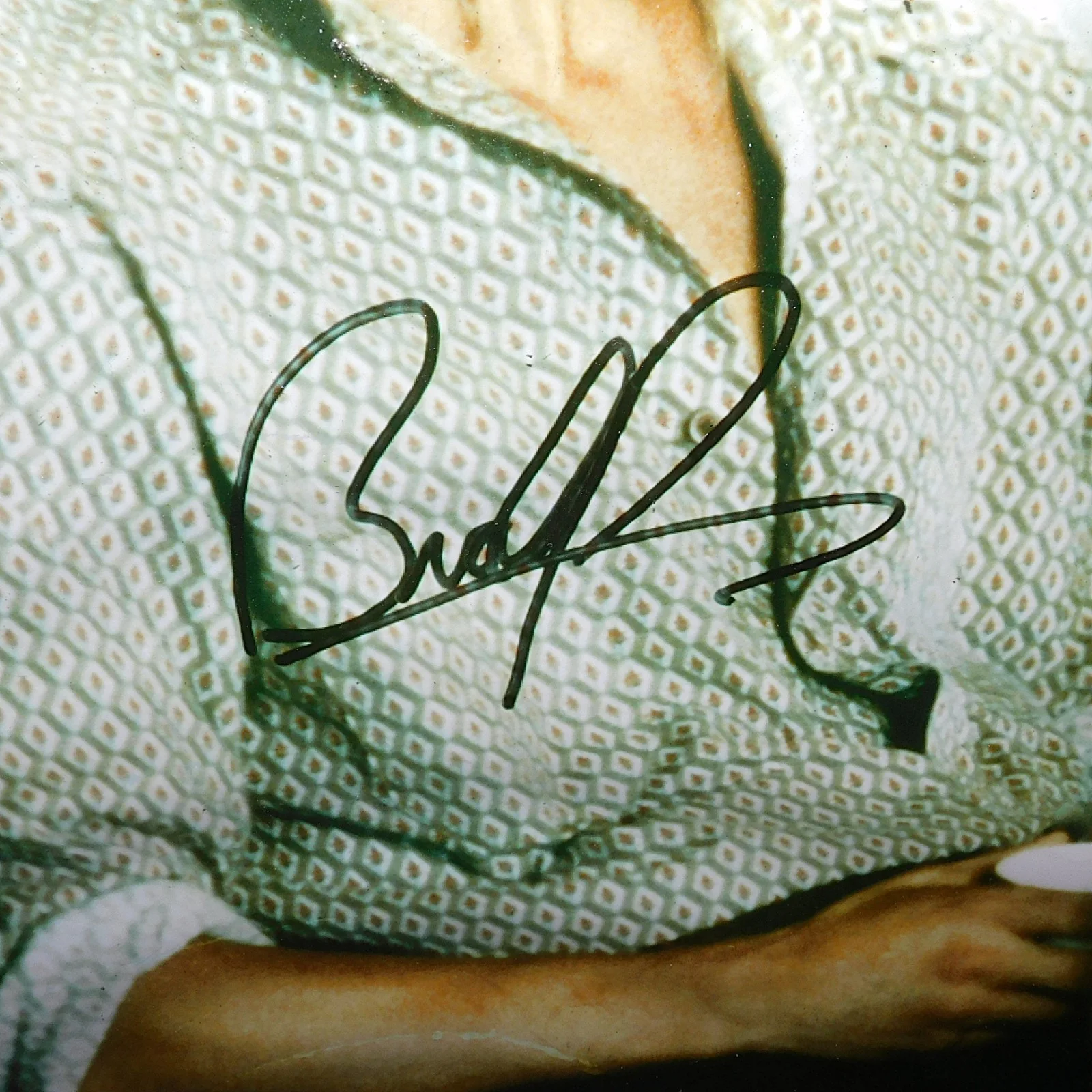 BRAD PITT — 1994 BRAD PITT LEGENDS OF THE FALL SIGNED 8X10" GLOSSY PHOTOGRAPH FRAMED, изображение 2