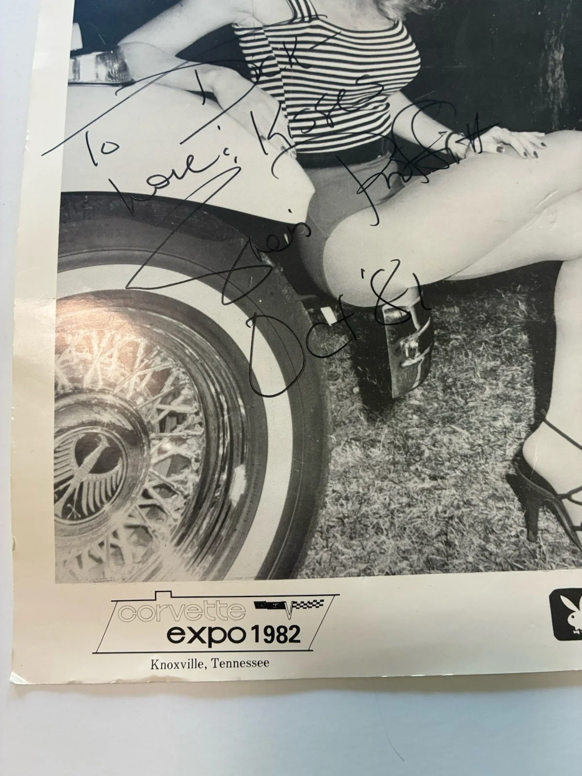 Signed Playboy Bunny Photo Corvette Expo 1982 Knoxville Sheri Proffitt, изображение 2