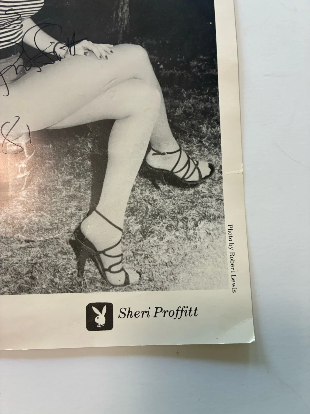 Signed Playboy Bunny Photo Corvette Expo 1982 Knoxville Sheri Proffitt, изображение 3