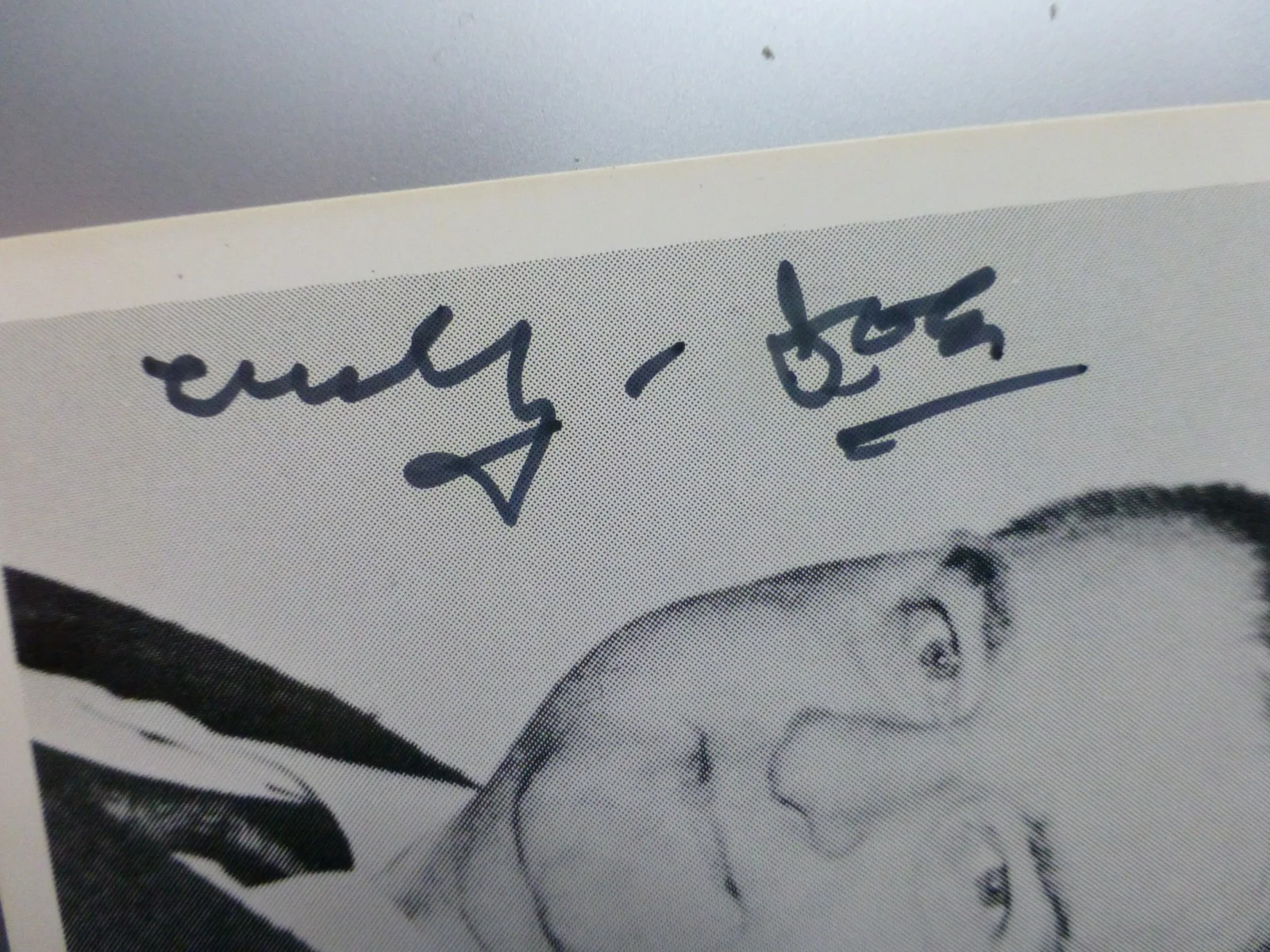 Curly Joe Derita — Curly Joe Derita Signed 2 1/2 x 3 1/2 Black and White Card with COA, изображение 2