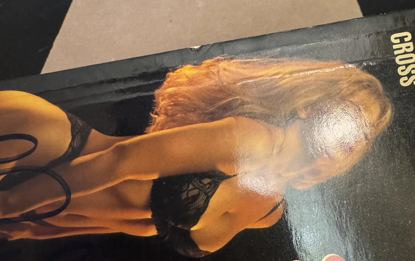 Shannon Tweed — Shannon Tweed Signed Cold Sweat VHS Display Cardboard 4x7.5 JSA Auth, image 3