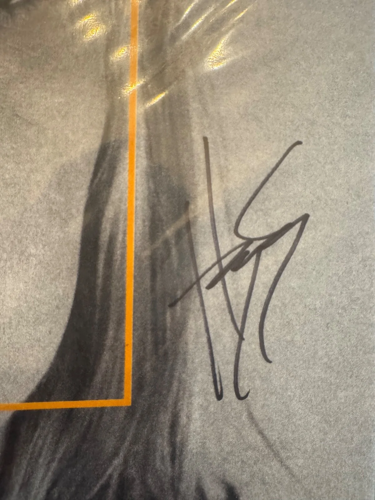 Hayley Williams Signed Ego Death At A Bachelorette Party Vinyl Beckett COA, изображение 4