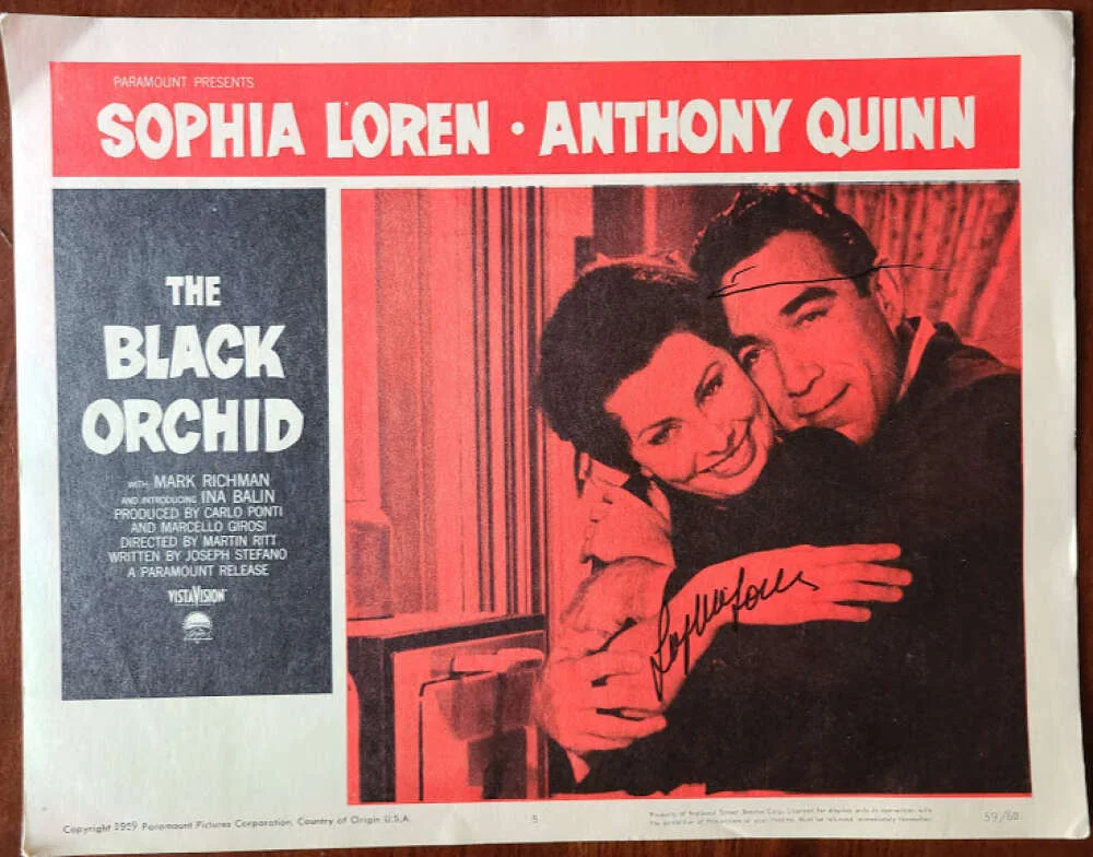 Sophia Loren — Sophia Loren JSA Coa Signed Black Orchid 11x14 Lobby Card Photo Autograph