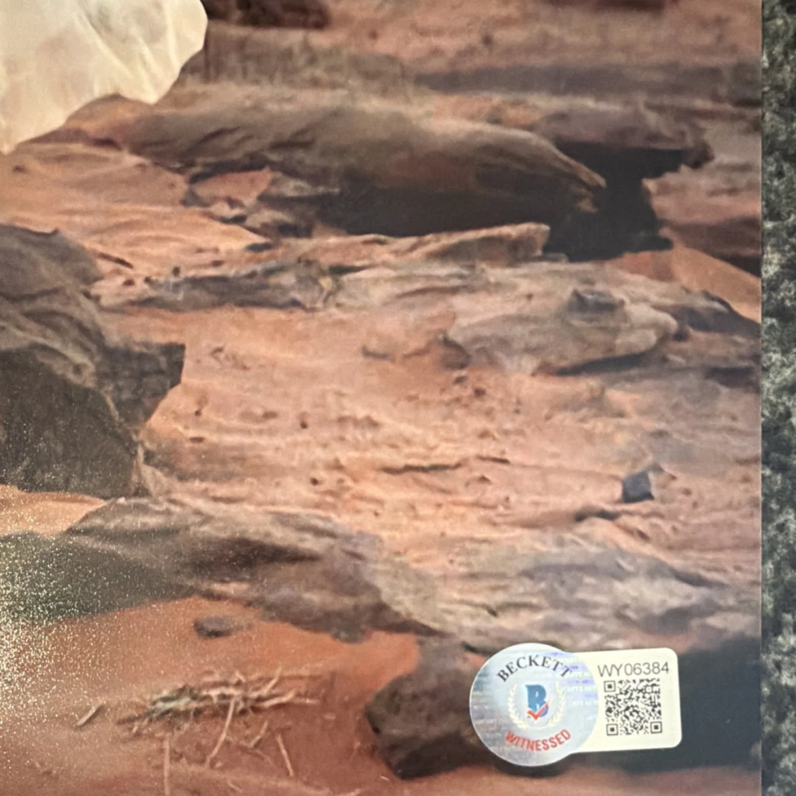 Daisy Ridley 11x14 Star Wars autograph Beckett Witnessed Authentication, изображение 2