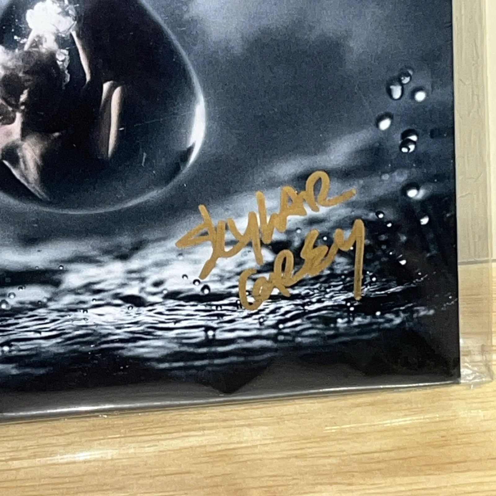 Skylar Grey signed autographed CD Super RARE OOP, image 2
