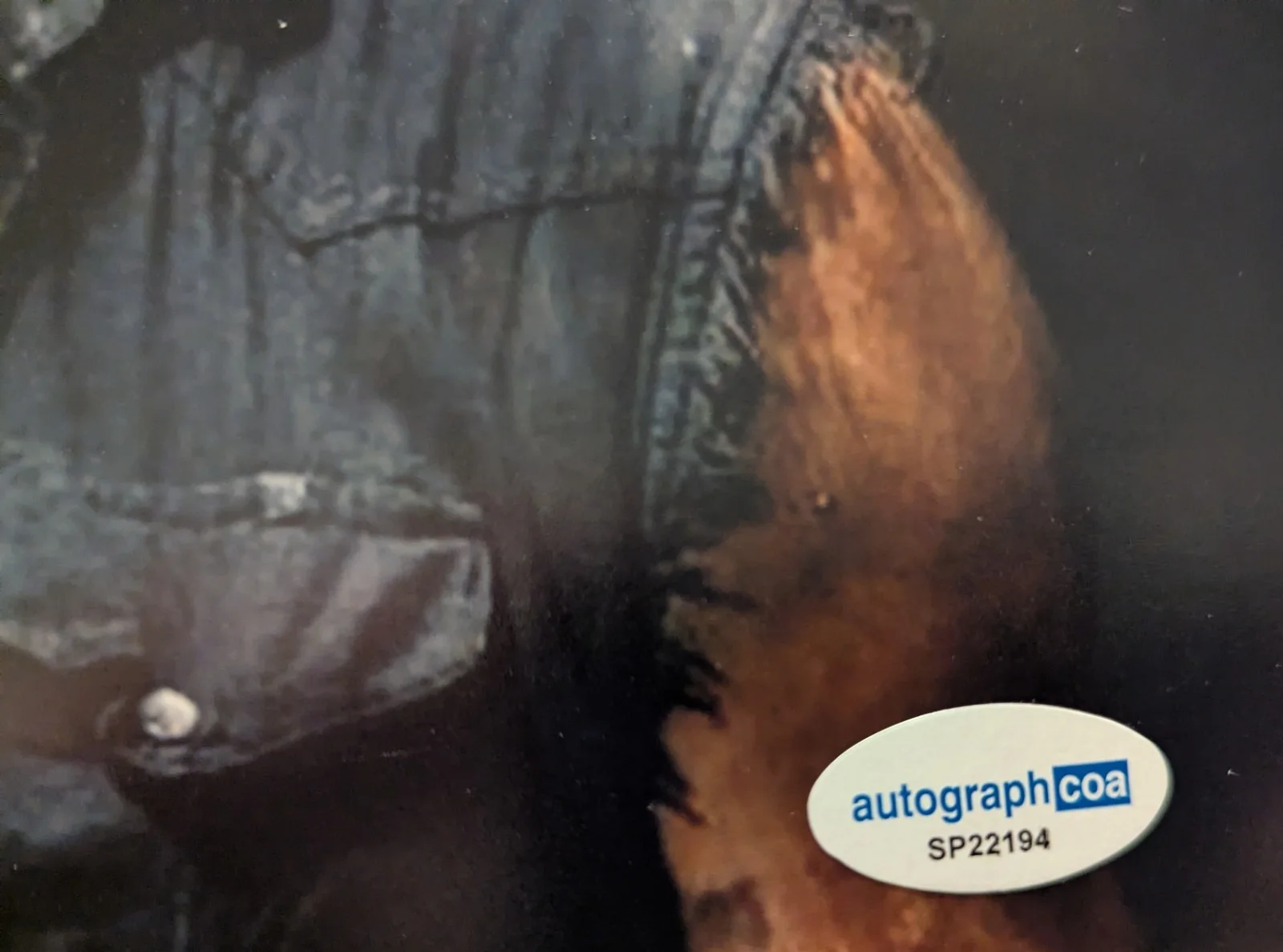 Norman Reedus — Norman Reedus Signed 8x10 Photo The Walking Dead Authentic Autograph ACOA, изображение 3