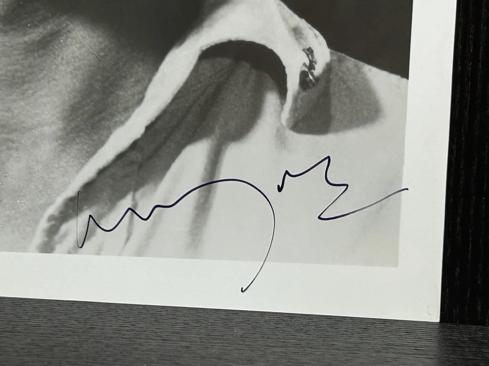 Michael York — MICHAEL YORK HAND SIGNED 8x10 PHOTO Original Autograph JSA COA Austin Powers, image 3