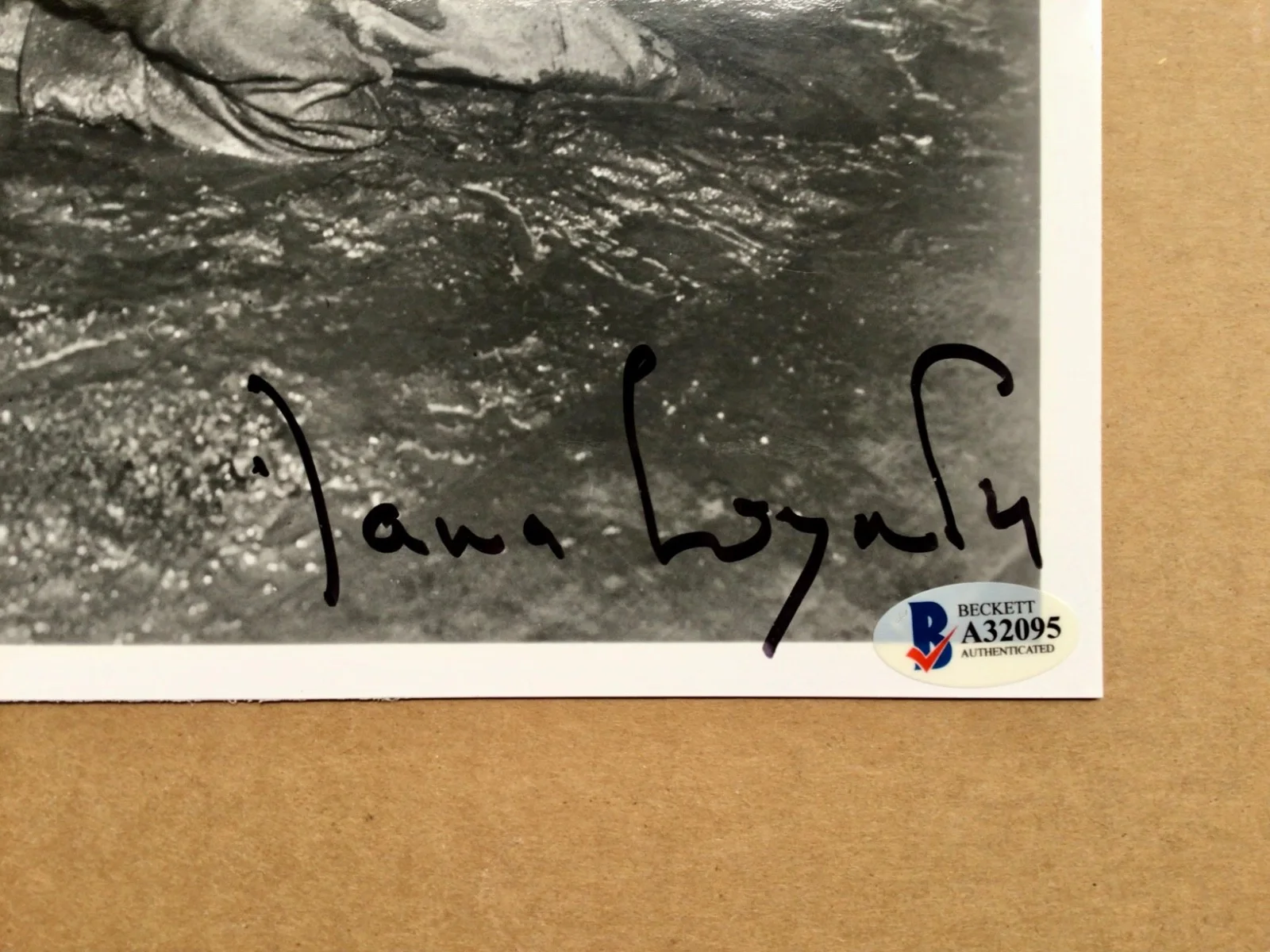 Invasion of the Body Snatchers cast signed Kevin McCarthy & Dana Wynter with COA, изображение 3
