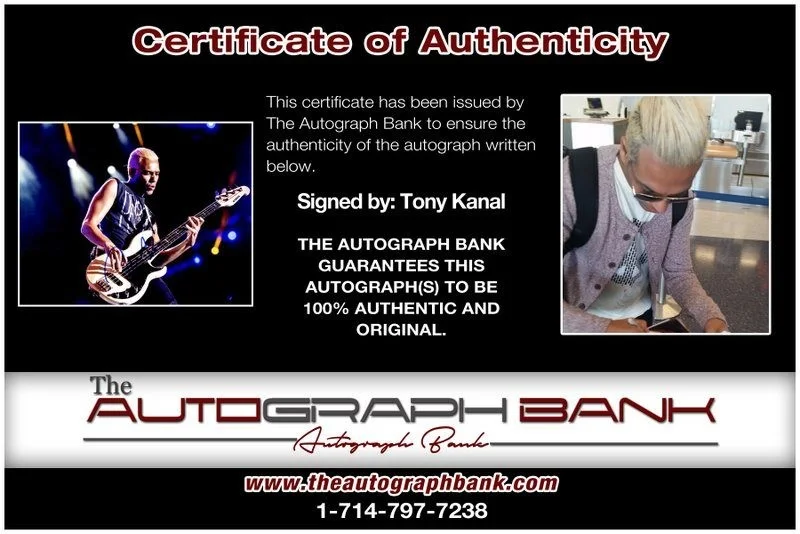 Tony Kanal — Tony Kanal No Doubt Authentic signed rock 8x10 photo W/Cert Autographed A17, изображение 2