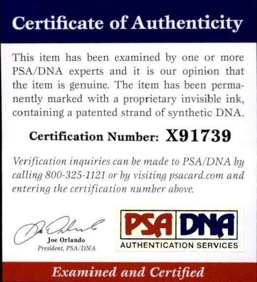 Lily Aldrige — Lily Aldrige authentic signed celebrity 10x15 photo W/PSA Cert Autographed Q1, изображение 2