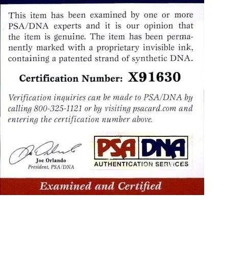 Paul Wesley — Paul Wesley authentic signed celebrity 8x10 photo PSA Certificate Autographed Z1, изображение 2