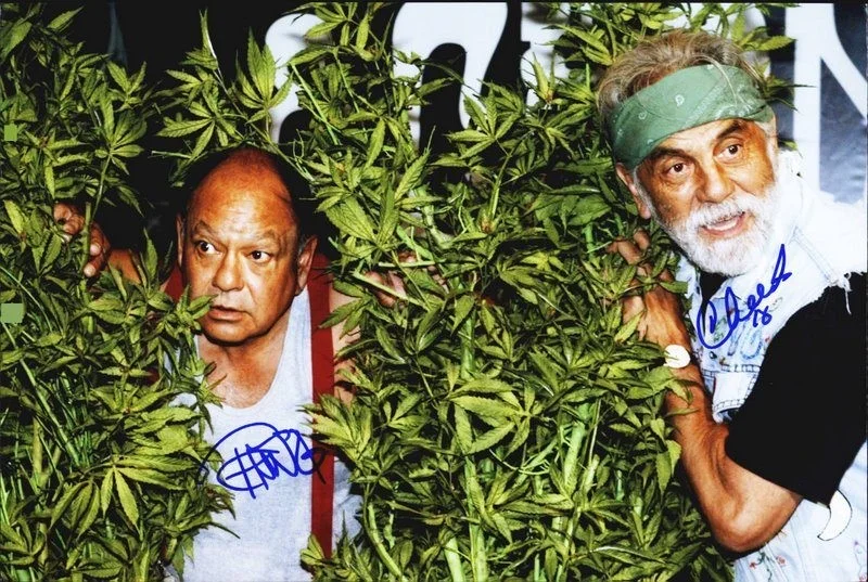 Cheech & Chong — Cheech & Chong authentic signed celebrity 10x15 photo W/Cert Autographed Y7