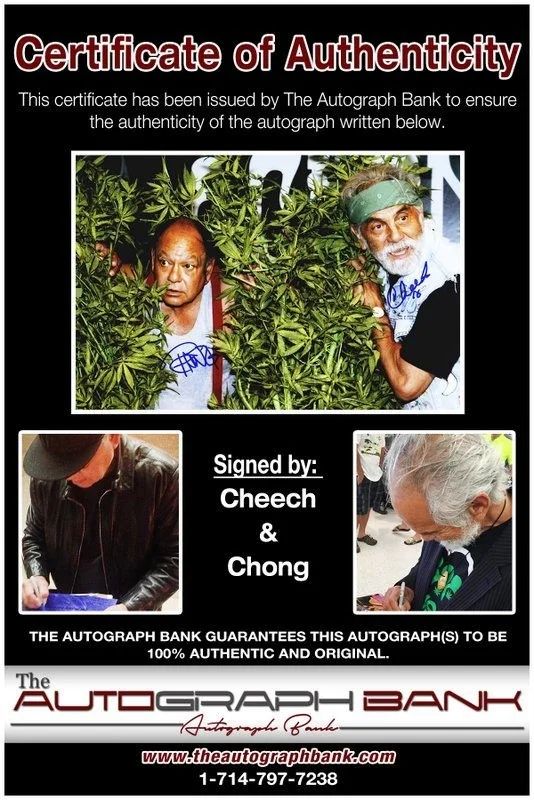 Cheech, Chong — Cheech & Chong authentic signed celebrity 10x15 photo W/Cert Autographed Y7, image 2