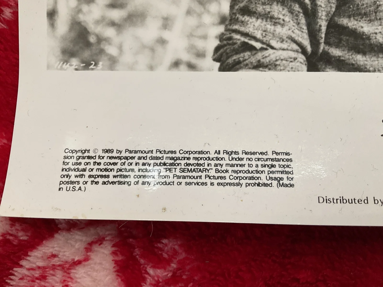 Rare With Notes To Rear , release press Photo , STEPHEN KING, PET SEMATARY MOVIE, изображение 2