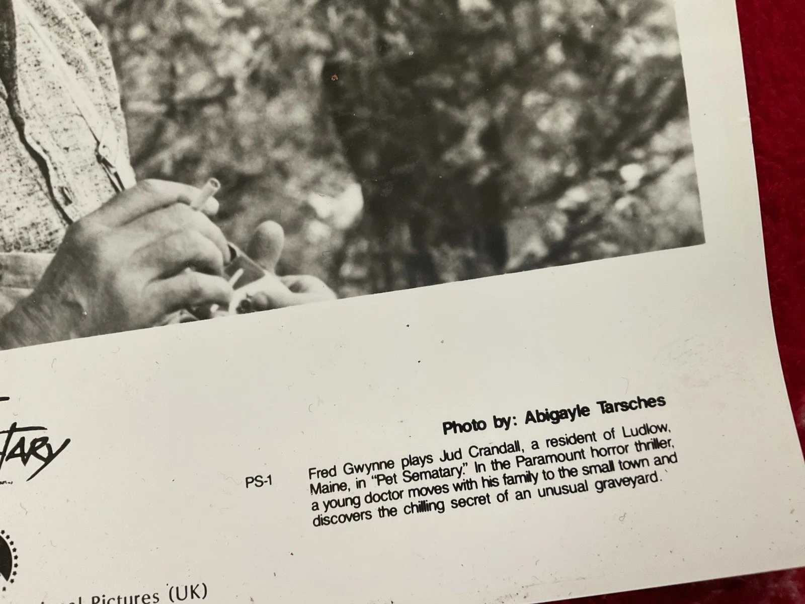 Rare With Notes To Rear , release press Photo , STEPHEN KING, PET SEMATARY MOVIE, изображение 3