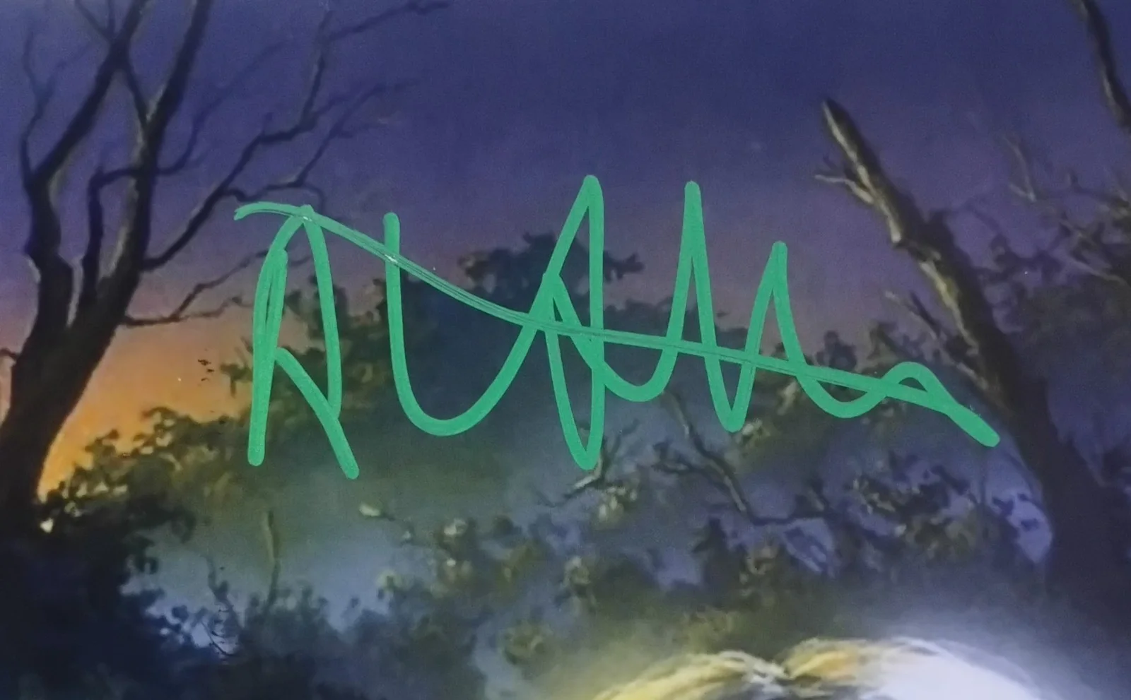 RL Stine & Tim Jacobus Hand Signed Aurograph Goosebumps Poster COA - NO TARIFFS, image 3
