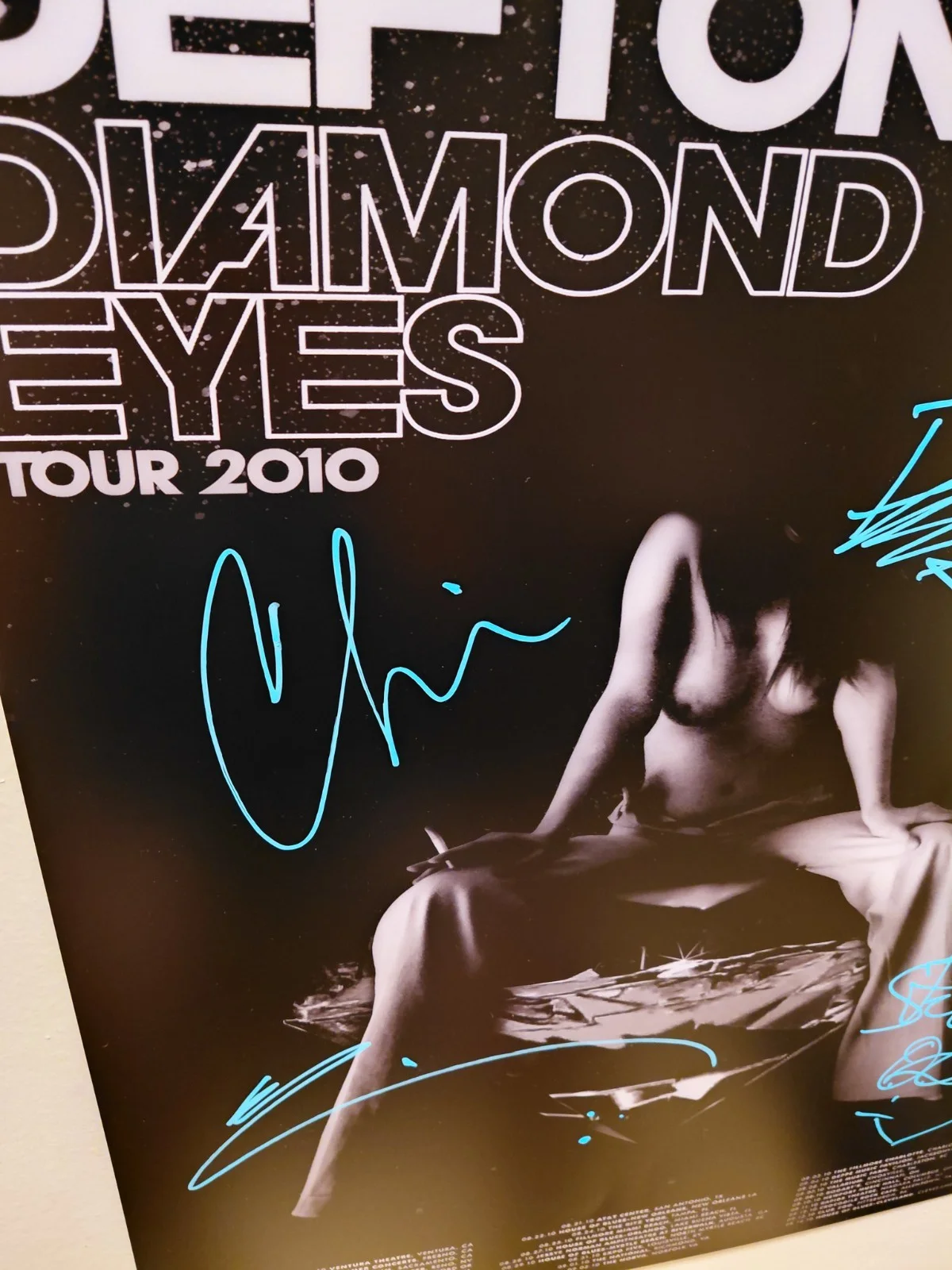 Autographed Deftones Diamond Eyes Tour Poster 18x24, изображение 2