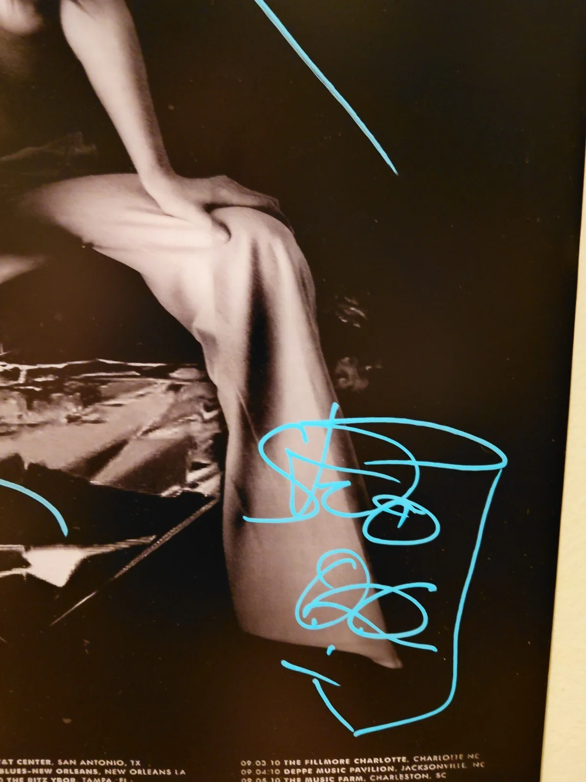 Autographed Deftones Diamond Eyes Tour Poster 18x24, изображение 3