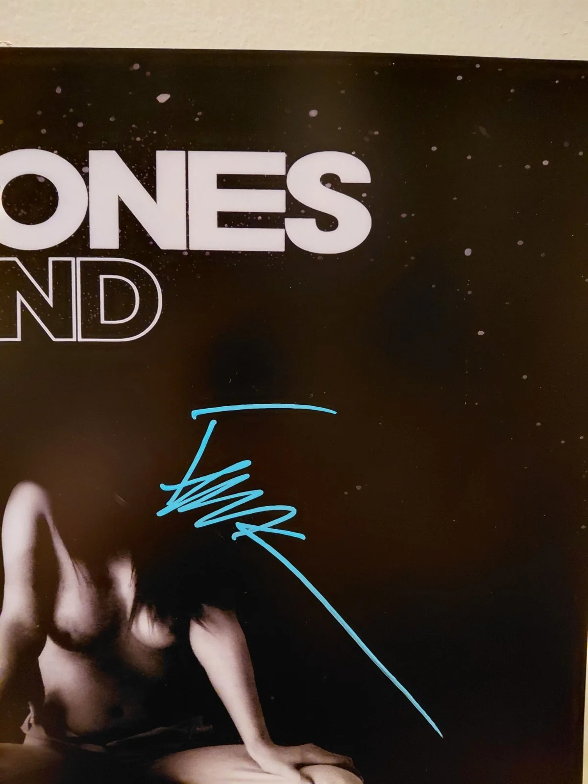 Autographed Deftones Diamond Eyes Tour Poster 18x24, изображение 4