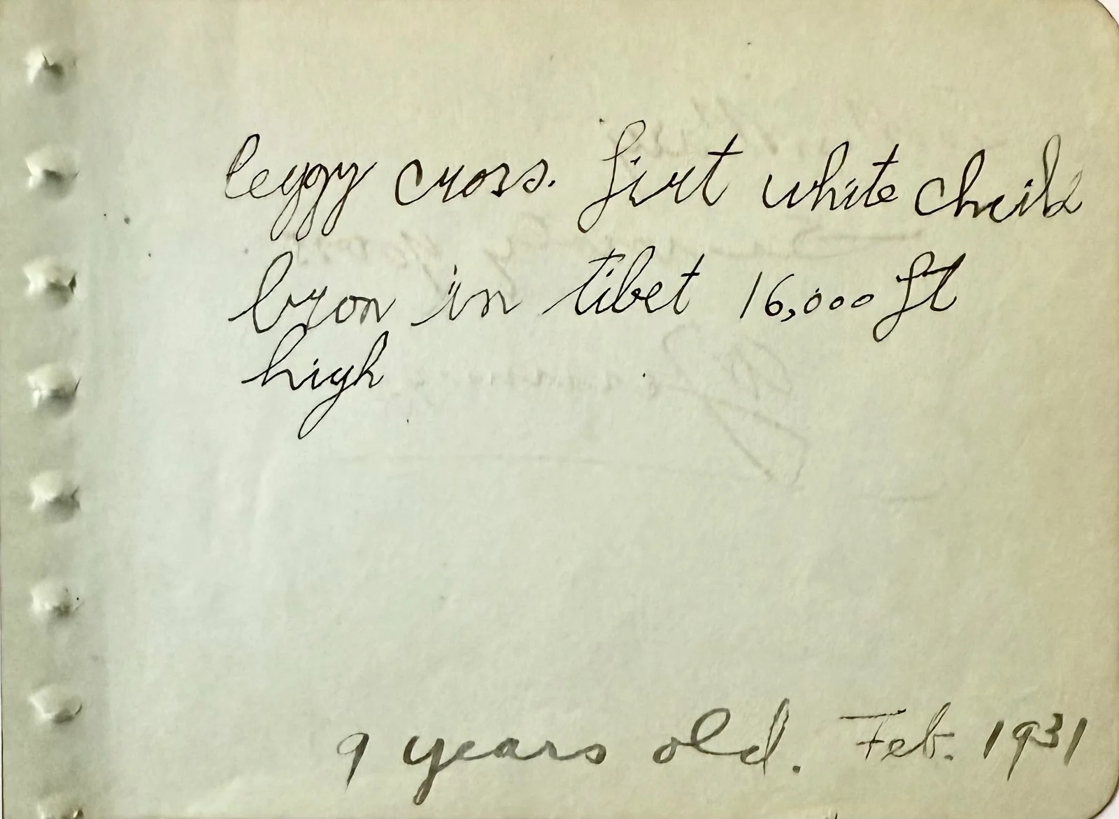 Al Jennings — AL JENNINGS Autographed Signed 4" x 5" ALBUM PAGE The Oklahoma Kid The Sea Hawk, image 2
