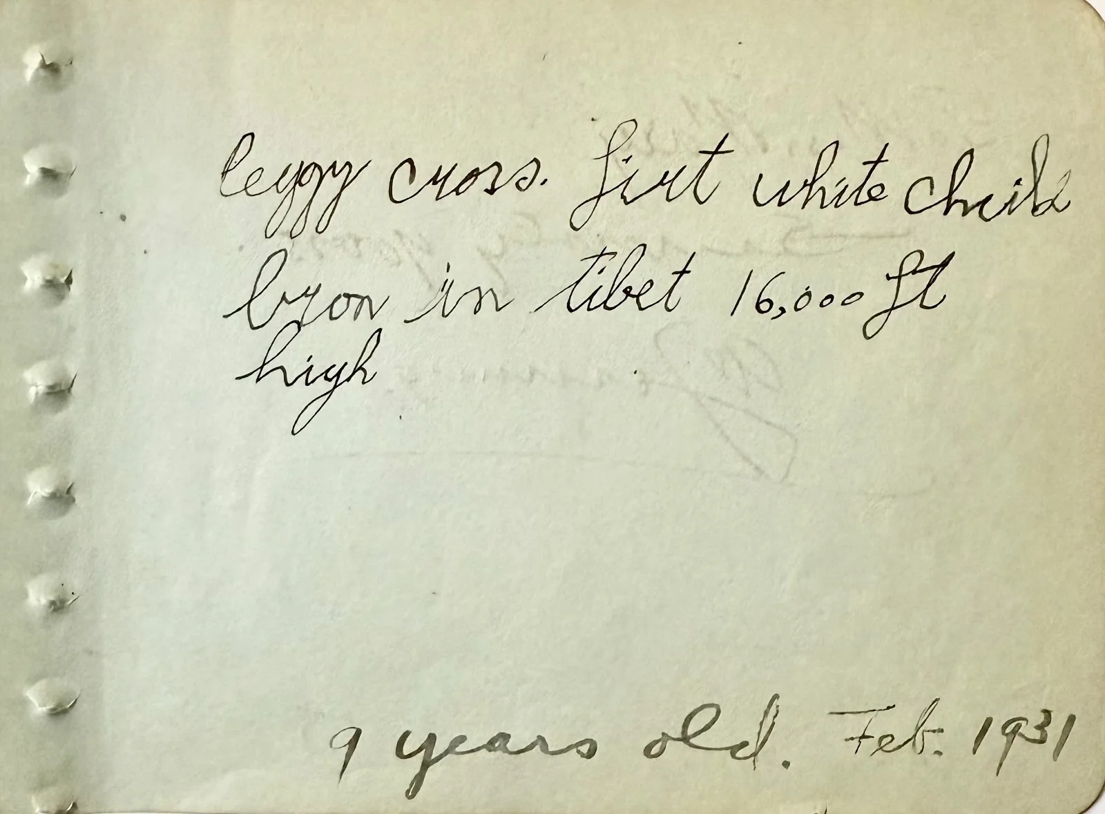Al Jennings — AL JENNINGS Autographed Signed 4" x 5" ALBUM PAGE The Oklahoma Kid The Sea Hawk, image 4