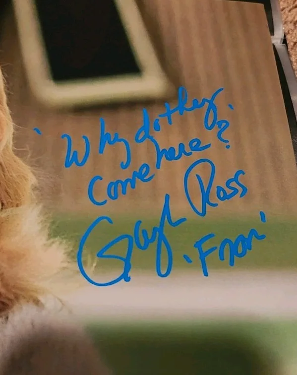 Gaylen Ross — Gaylen Ross Dawn of the Dead signed autographed 11x14 photo w/ quote. JSA Cert, изображение 2