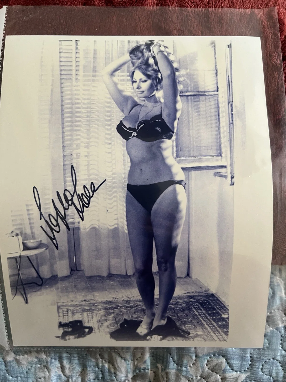 Sophia Loren — SOPHIA LOREN GORGEOUS SIGNED AUTOGRAPHED HOT 8x10 PHOTO COA Campus Collectibles
