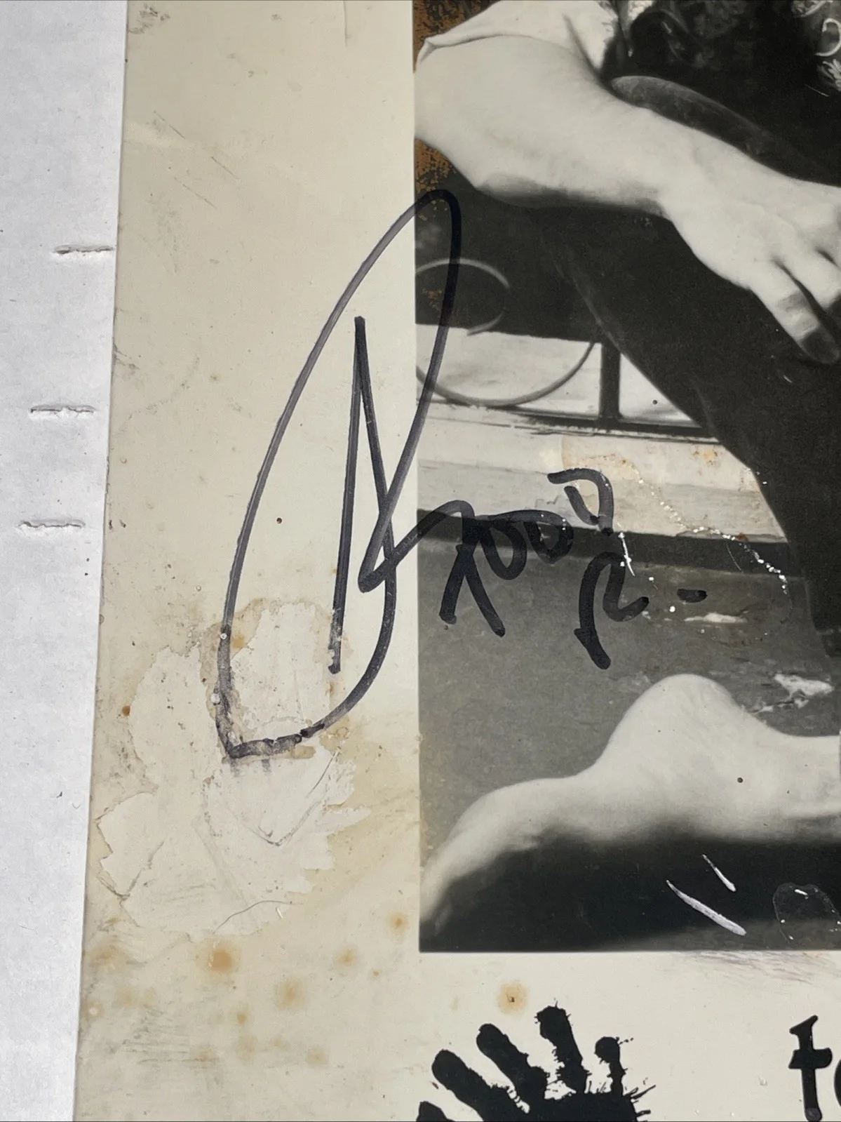Todd Rundgren Signed 8 X 10 1989, image 2
