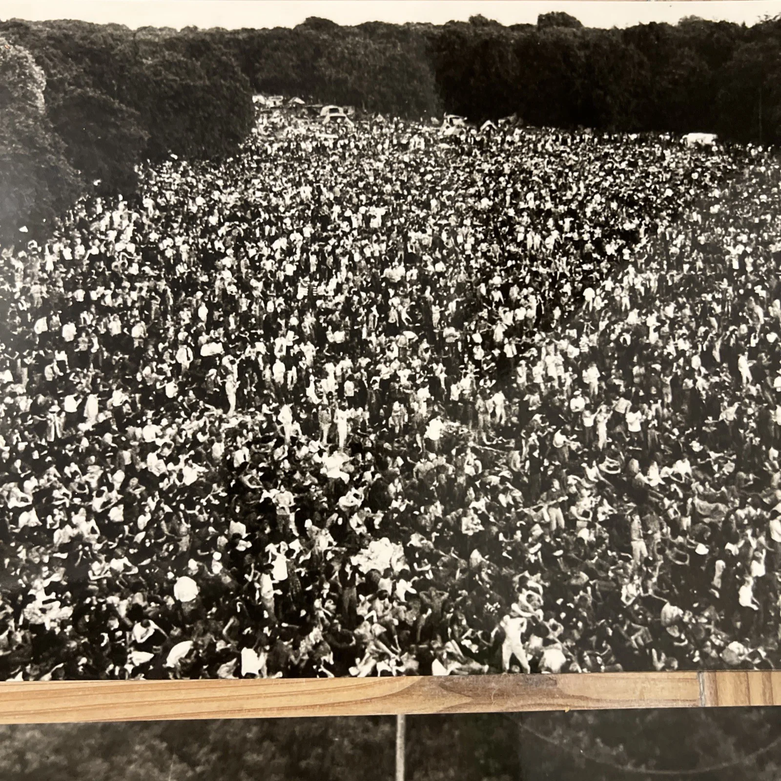 Stamping Ground - RARE, Holland Festival, Psych, Rock Doc Press photos / stills, изображение 3
